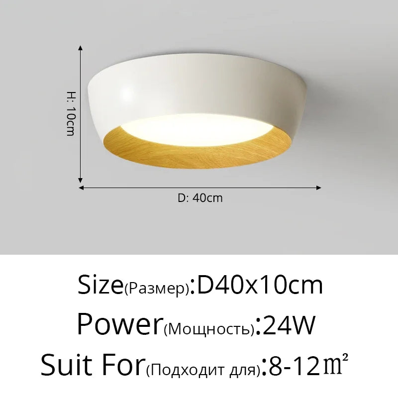 Nordic LED Ceiling Lamp for Living Room Bedroom, Surface Mounted Luminaire