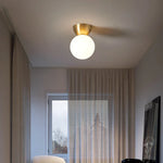 Walnut Glass LED Ceiling Lamp for Modern Living Room Art Decoration