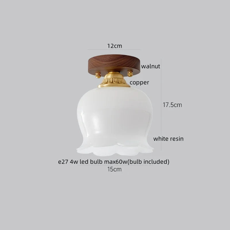 Walnut LED Ceiling Lamp Modern Indoor Lighting Fixture