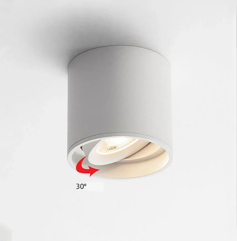 Aluminum Ceiling Lamp: Cylindrical Surface Mounted Downlight with Adjustable Beam Angle