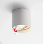 Aluminum Ceiling Lamp: Cylindrical Surface Mounted Downlight with Adjustable Beam Angle