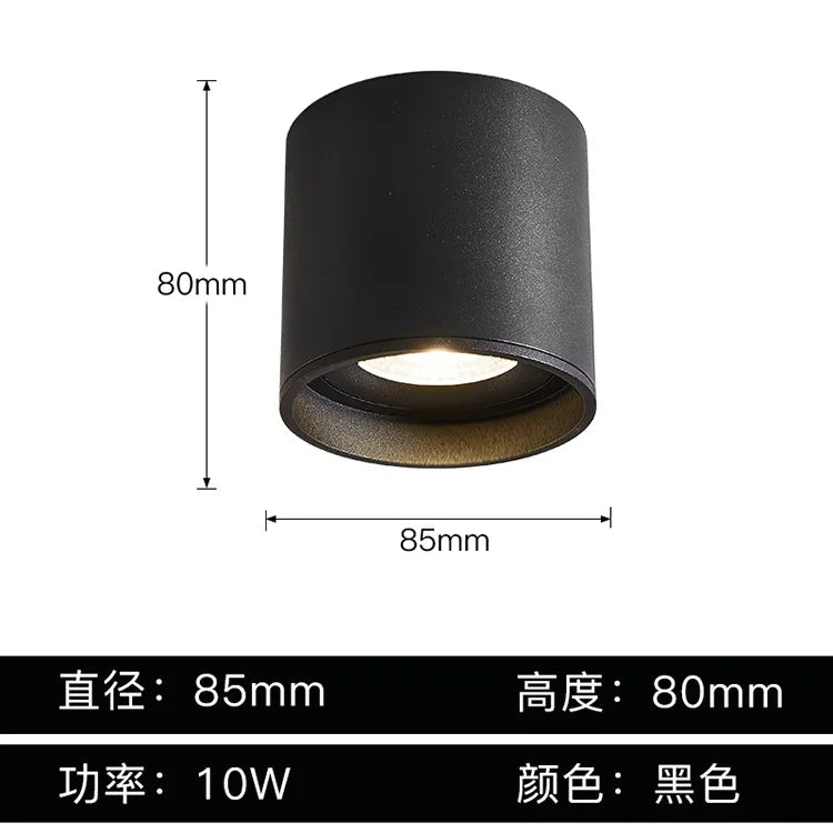 Aluminum Ceiling Lamp: Cylindrical Surface Mounted Downlight with Adjustable Beam Angle