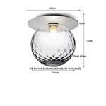 Iron Glass LED Ceiling Lamp Ball Shape Modern Living Room Light Fixtures