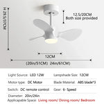 24-Inch Mini Ceiling Fan with Lights, Modern Design for Home and Office