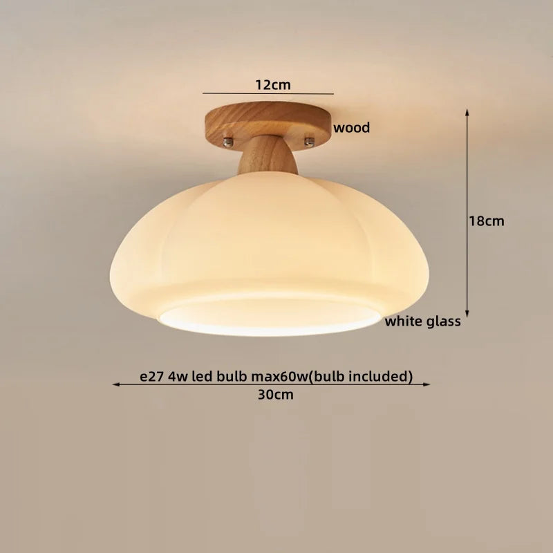 Copper Glass LED Ceiling Light - Modern Indoor Lighting for Home Decor