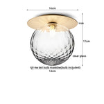 Iron Glass LED Ceiling Lamp Ball Shape Modern Living Room Light Fixtures