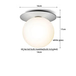 Iron Glass LED Ceiling Lamp Ball Shape Modern Living Room Light Fixtures