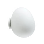 Glass Egg Wall Sconces Lamp Ceiling Light with E27 Led Bulb