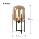 Modern Glass LED Floor Lamp for Living Room, Bedroom, Dining, and Home Decor