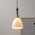 Glass Copper LED Pendant Lights for Modern Style Dining Kitchen Bedroom