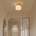 LED Modern Ceiling Light for Living Room Balcony, Nordic Style Indoor Lighting Fixtures