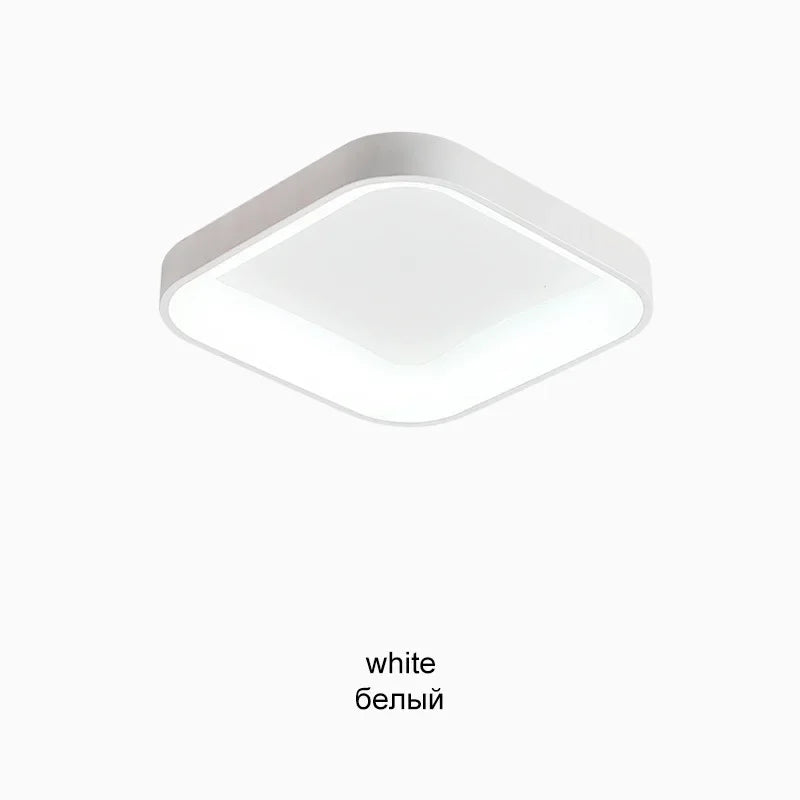 Nordic LED Ceiling Lights Dimmable for Home Decor Luminaires