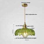 Walnut Wood LED Pendant Light Fixture Glass Hanging Lamp