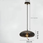 Modern LED Glass Chandelier for Living Room Bedroom Kitchen Pendant Lamp