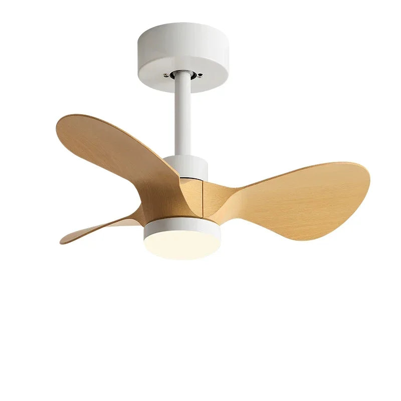 24-Inch Mini Ceiling Fan with Lights, Modern Design for Home and Office