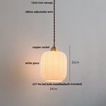 Glass LED Pendant Lamp | Adjustable Nordic Hanging Light