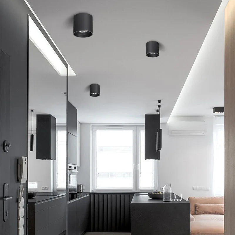 Aluminum Ceiling Lamp: Cylindrical Surface Mounted Downlight with Adjustable Beam Angle