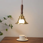 Copper Walnut LED Pendant Lights, Modern Hanging Lamp for Hallway, Bedroom, Dining Room