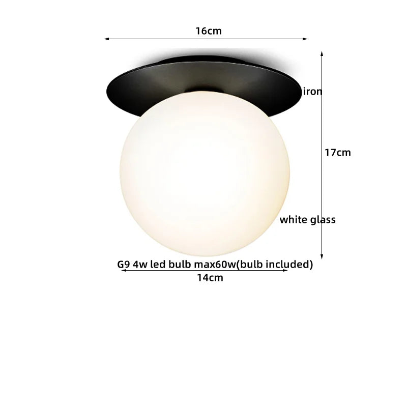 Iron Glass LED Ceiling Lamp Ball Shape Modern Living Room Light Fixtures
