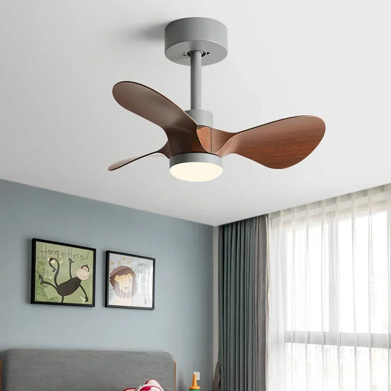 24-Inch Mini Ceiling Fan with Lights, Modern Design for Home and Office