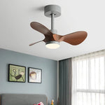 24-Inch Mini Ceiling Fan with Lights, Modern Design for Home and Office