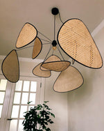 Screen Cannage Suspension