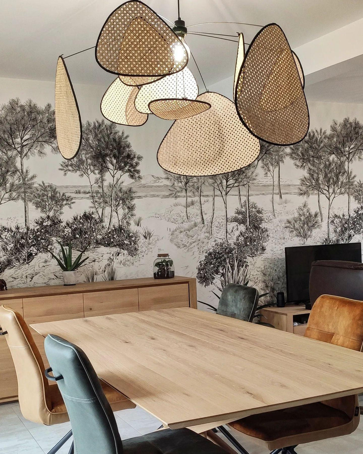 Screen Cannage Suspension