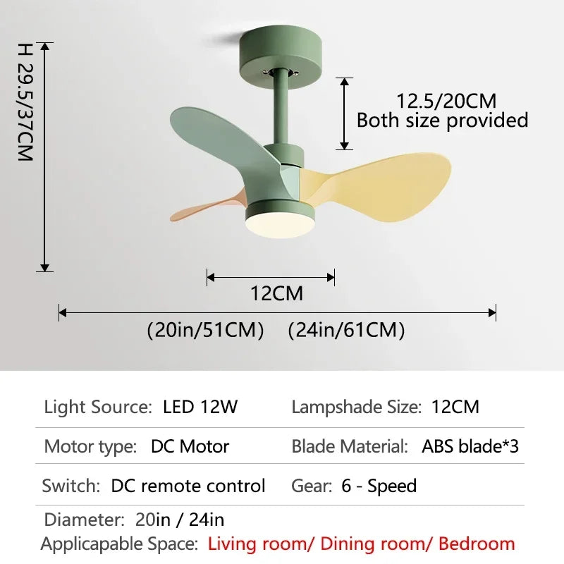 24-Inch Mini Ceiling Fan with Lights, Modern Design for Home and Office