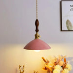 Ceramic LED Pendant Lamp: Modern Wood Handle Hanging Light Fixtures