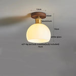 Modern Clear Glass LED Ceiling Light for Home Decor