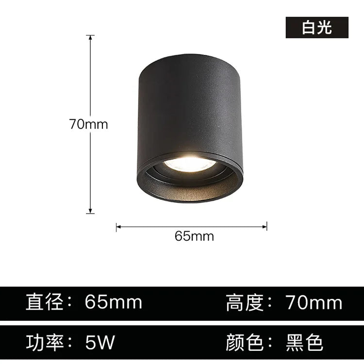 Aluminum Ceiling Lamp: Cylindrical Surface Mounted Downlight with Adjustable Beam Angle
