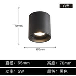 Aluminum Ceiling Lamp: Cylindrical Surface Mounted Downlight with Adjustable Beam Angle