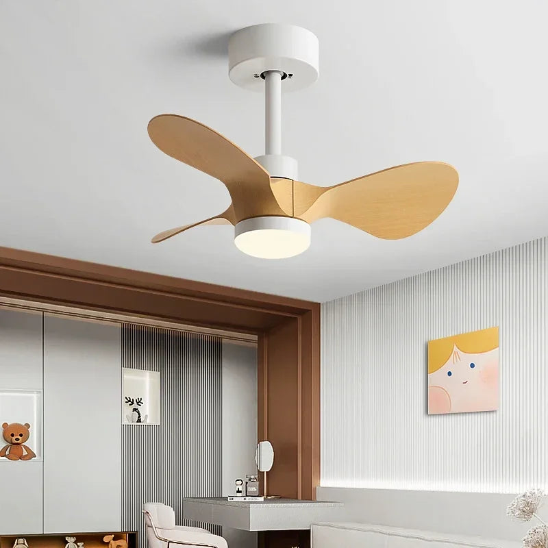 24-Inch Mini Ceiling Fan with Lights, Modern Design for Home and Office