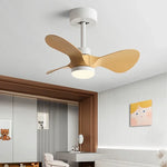24-Inch Mini Ceiling Fan with Lights, Modern Design for Home and Office