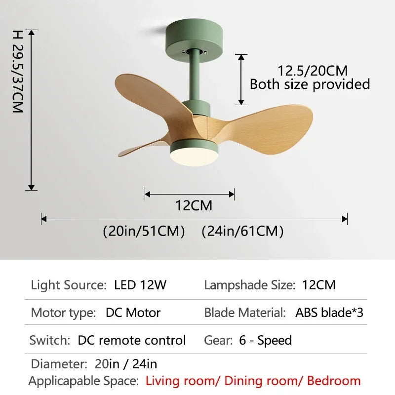 24-Inch Mini Ceiling Fan with Lights, Modern Design for Home and Office