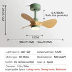 24-Inch Mini Ceiling Fan with Lights, Modern Design for Home and Office