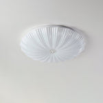 Acrylic Shell Round Ceiling Lamp