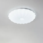 Acrylic Shell Round Ceiling Lamp