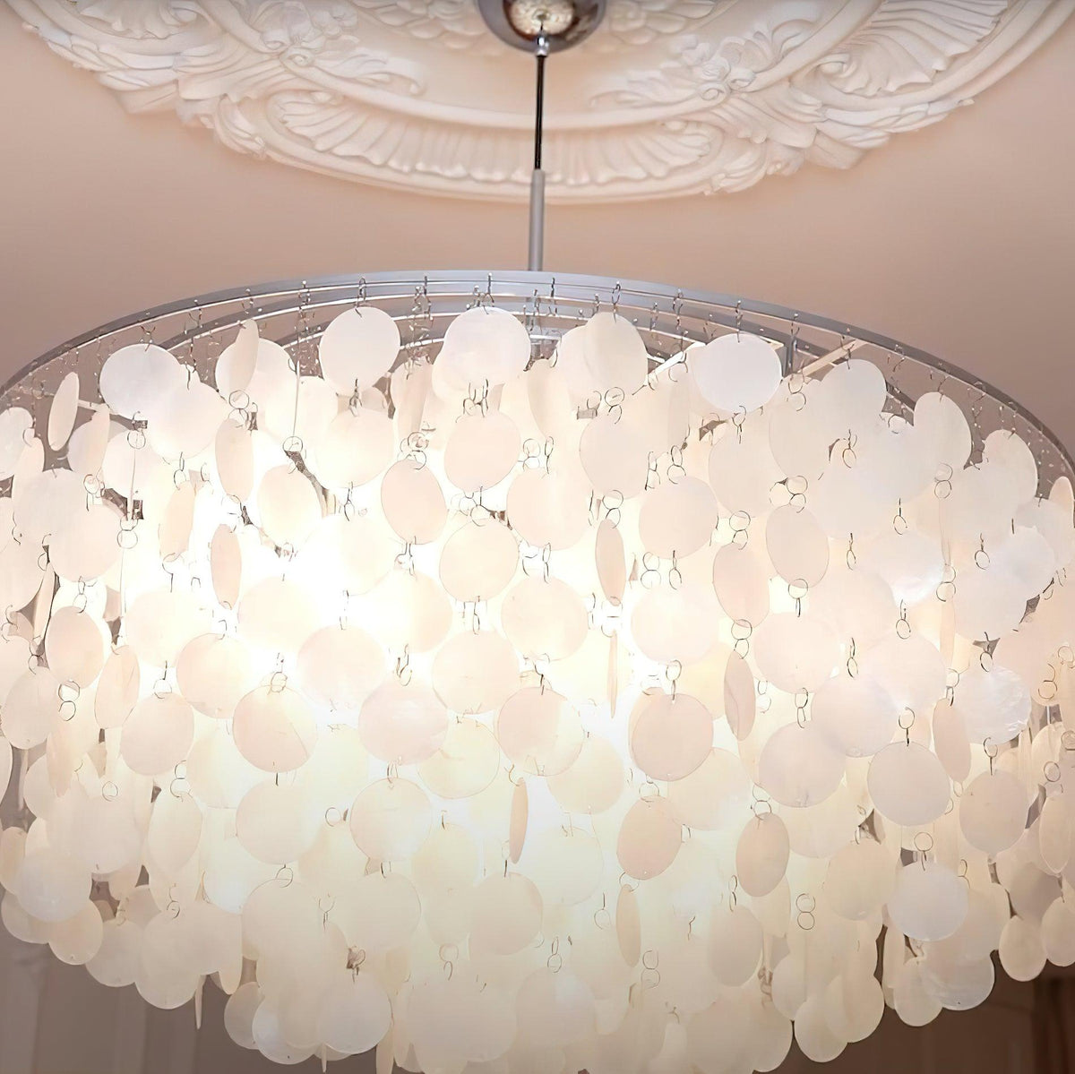 Shell Chandelier