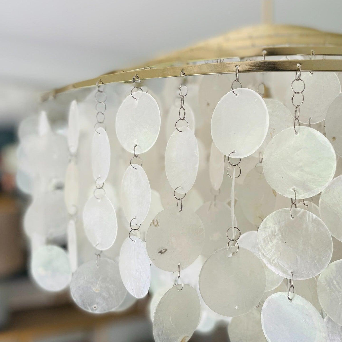 Shell Chandelier