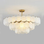 Shell Glass Chandelier