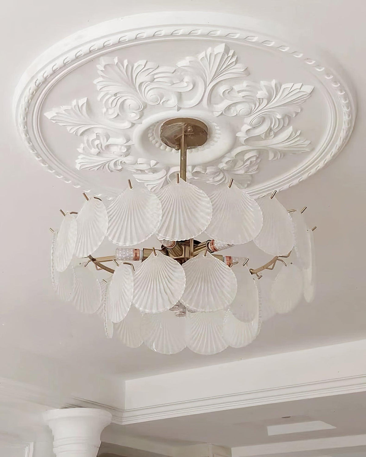 Shell Glass Chandelier