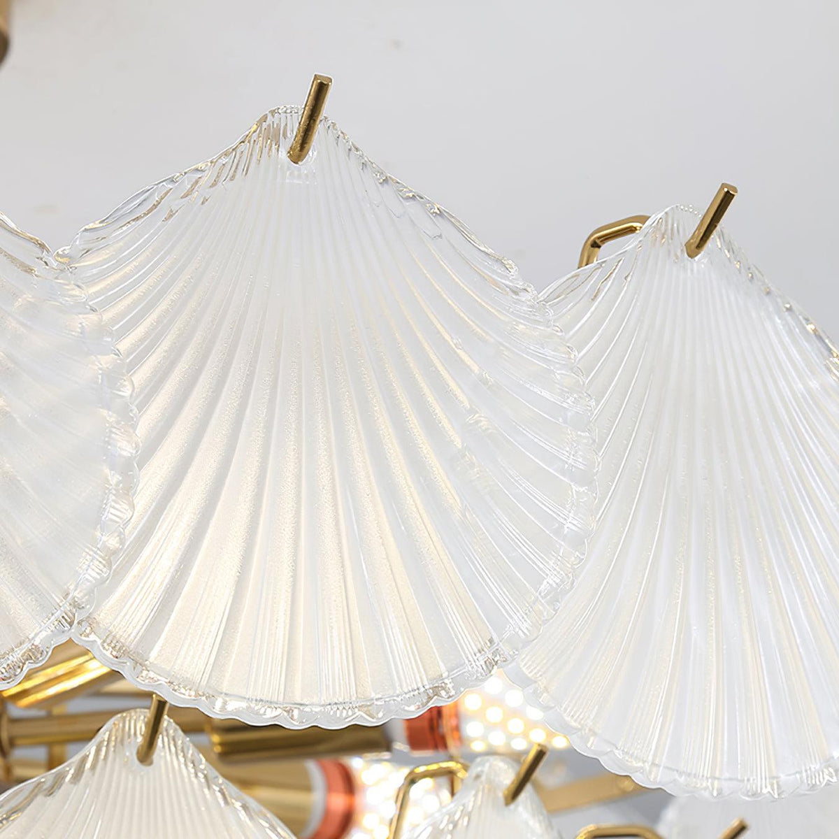 Shell Glass Chandelier