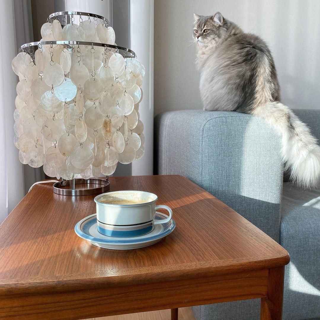 Shell Table Lamp 11.8"