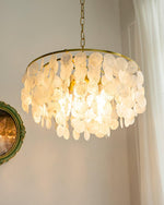 Shell Wind Chime Chandelier