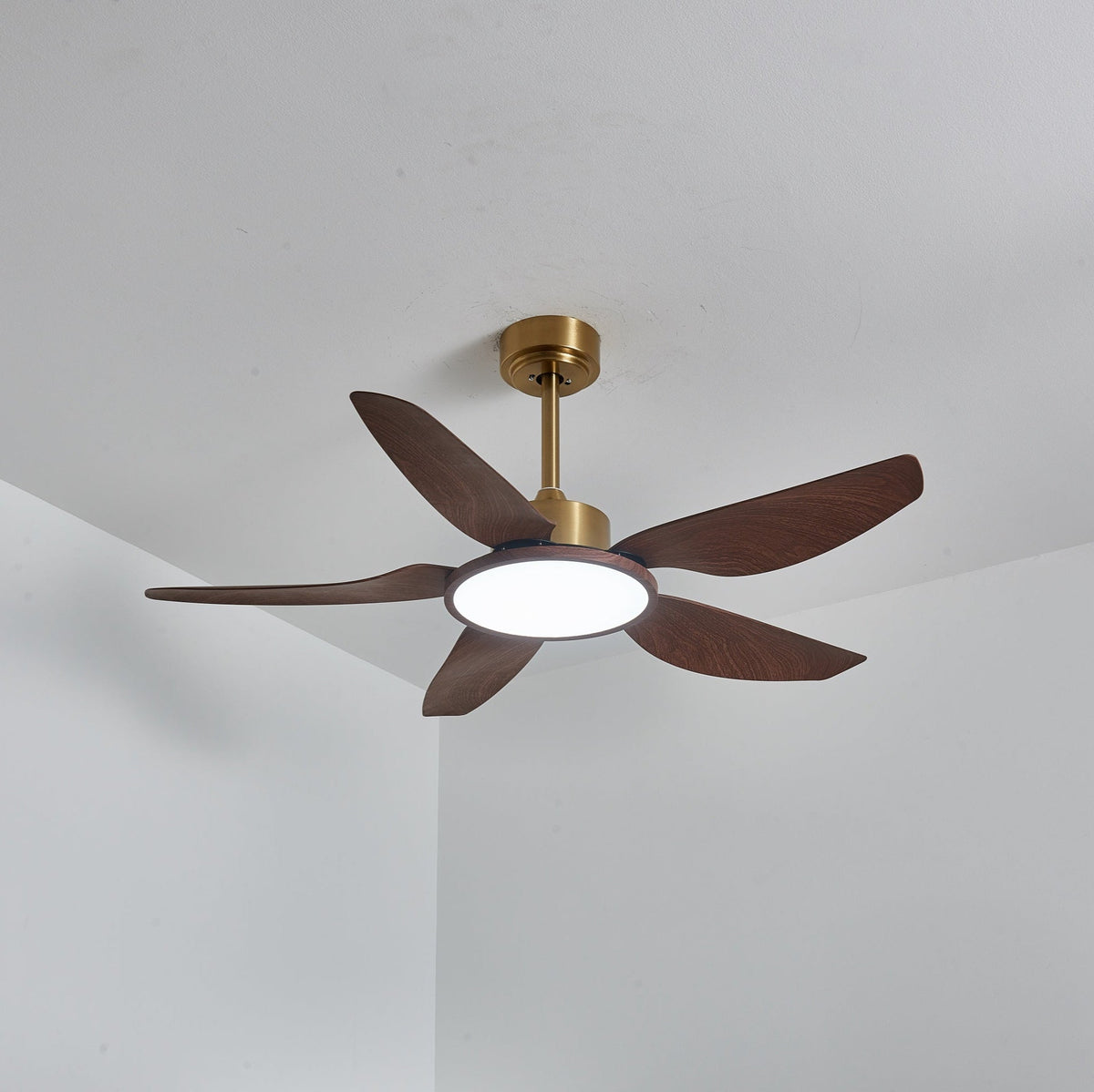 Sirocco Breeze Ceiling Fan Light