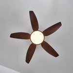 Sirocco Breeze Ceiling Fan Light