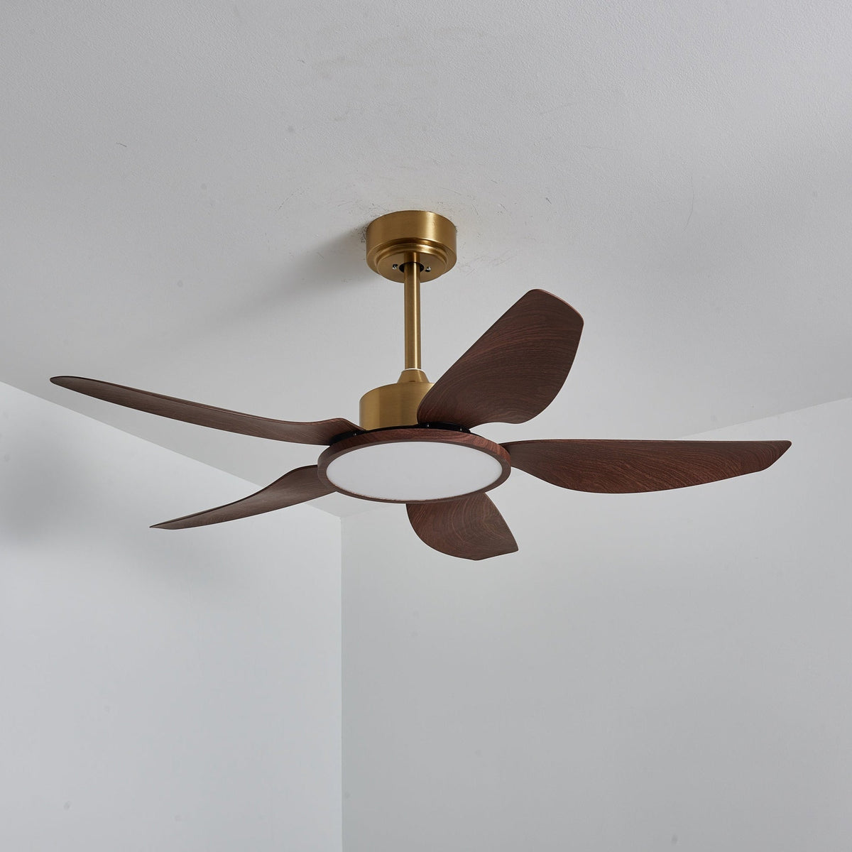 Sirocco Breeze Ceiling Fan Light