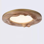 Sky Lake Ceiling Lamp 23.6"
