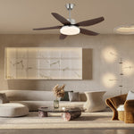 Sofia Ceiling Fan Light